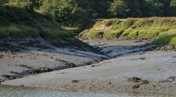 Where marsh meets memory